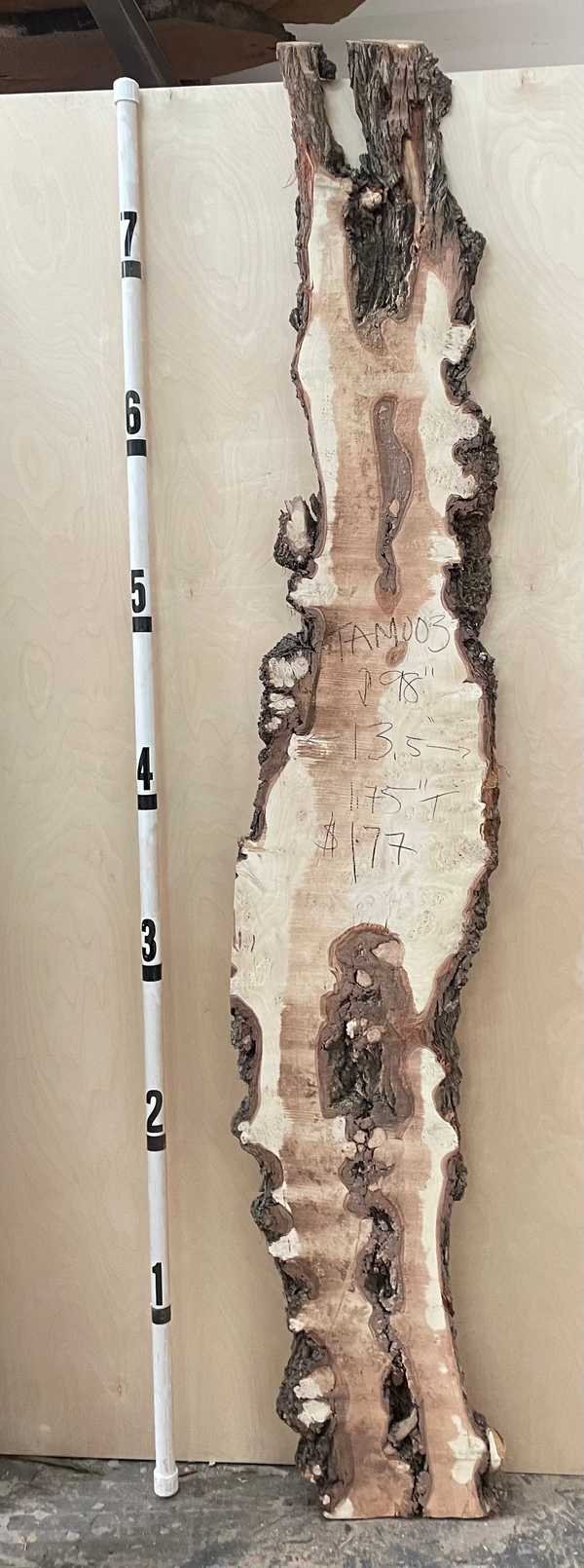 Product Image for Tam003